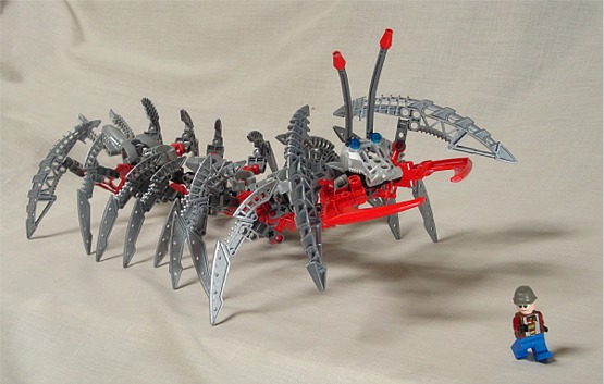 centipede008.jpg
