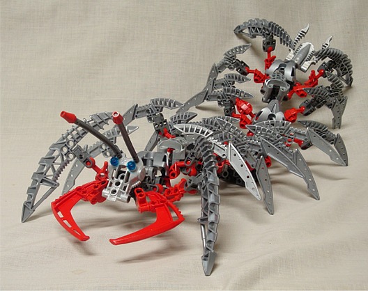 centipede009.jpg