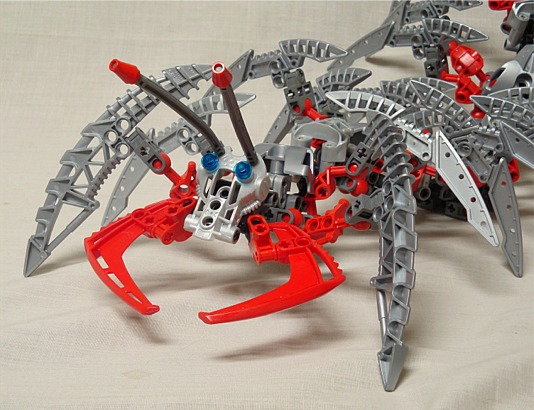 centipede010.jpg