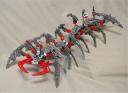 Centipede