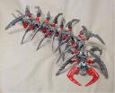 centipede002.jpg