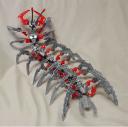 centipede003.jpg