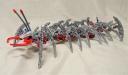 centipede004.jpg