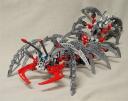 centipede009.jpg