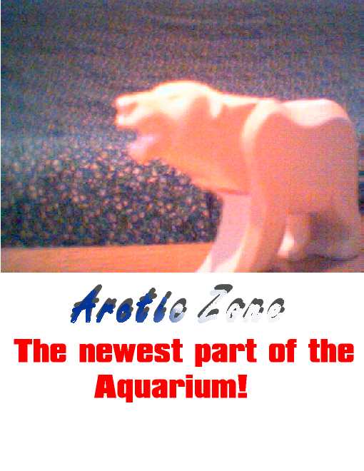 aquarium21.jpg