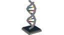dna01-02.png