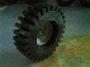 dsc00108.jpg