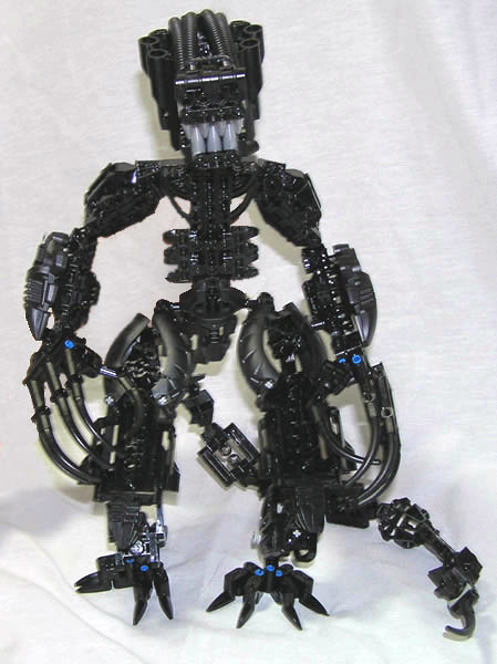 front2.jpg