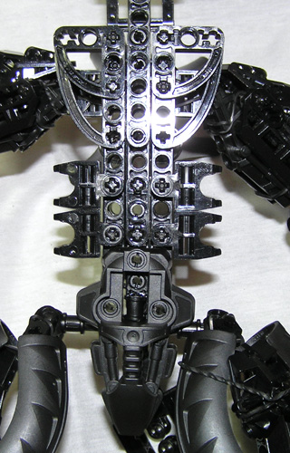 torso.jpg