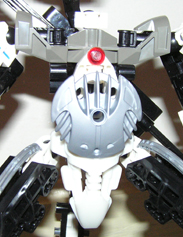 behemothtorso.jpg