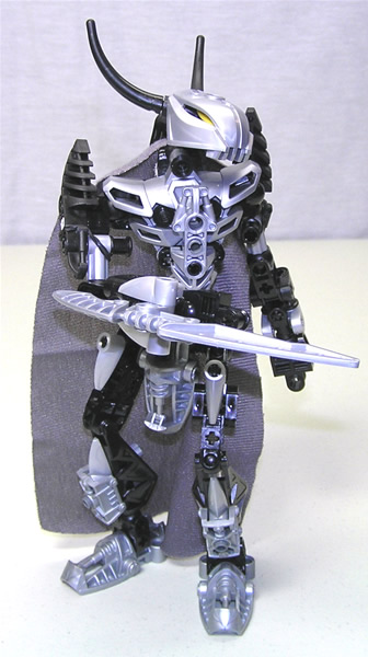 endarpose.jpg
