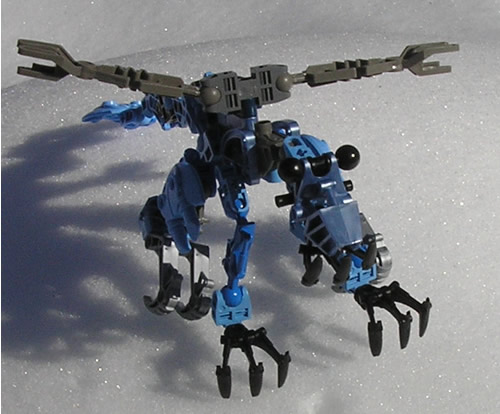 fledglingsnow.jpg