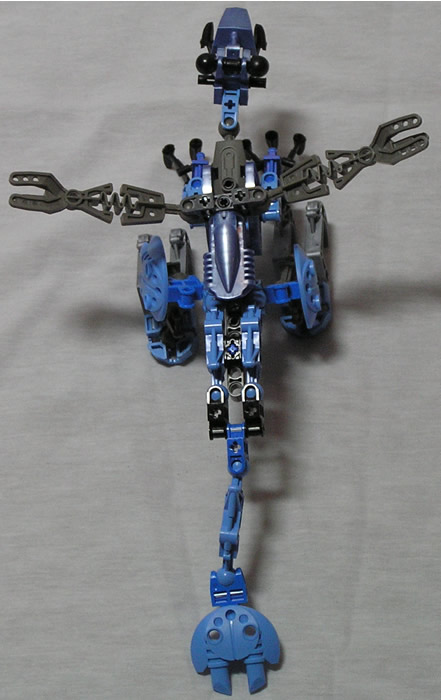 fledglingtop.jpg