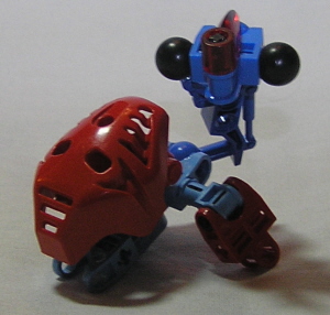 blueback.jpg