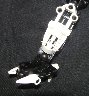 ravenleg.jpg