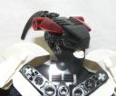 ravenhead.jpg