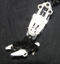 ravenleg.jpg