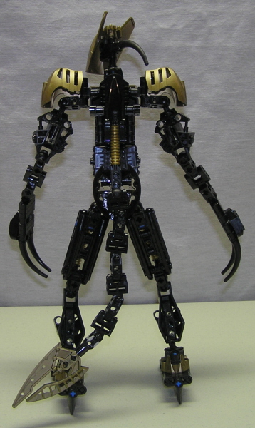 back1.jpg