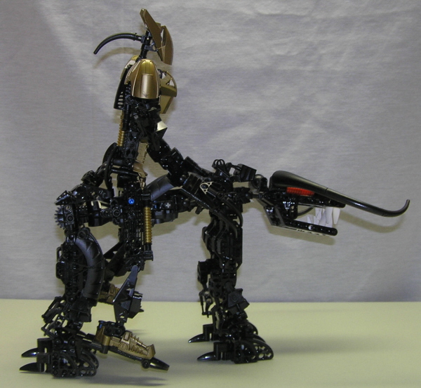 rider1.jpg