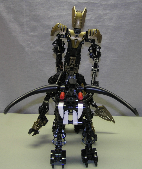 rider2.jpg