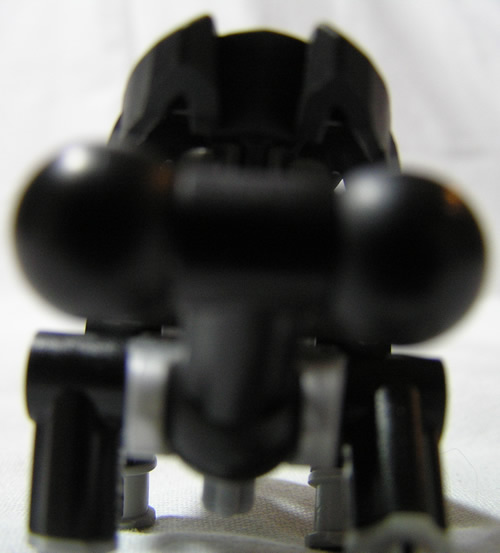beetlesniffcamera.jpg