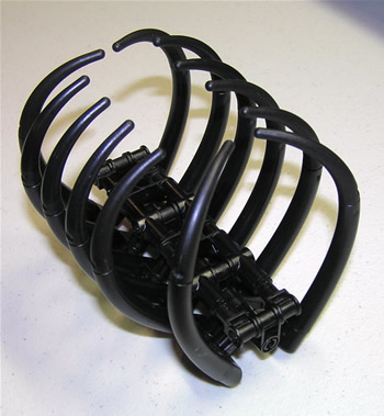 ribcage.jpg