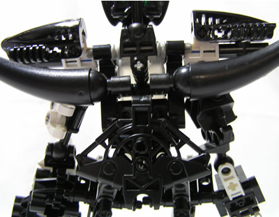 zavixbackcloseup.jpg