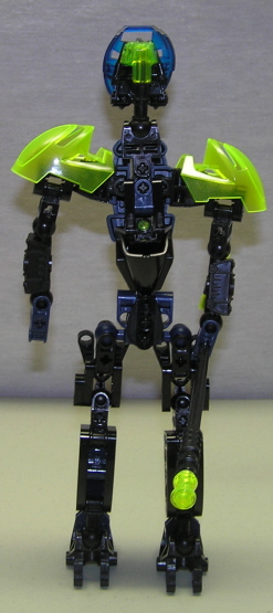 back.jpg