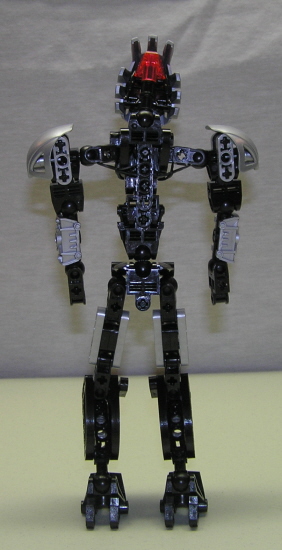 back.jpg