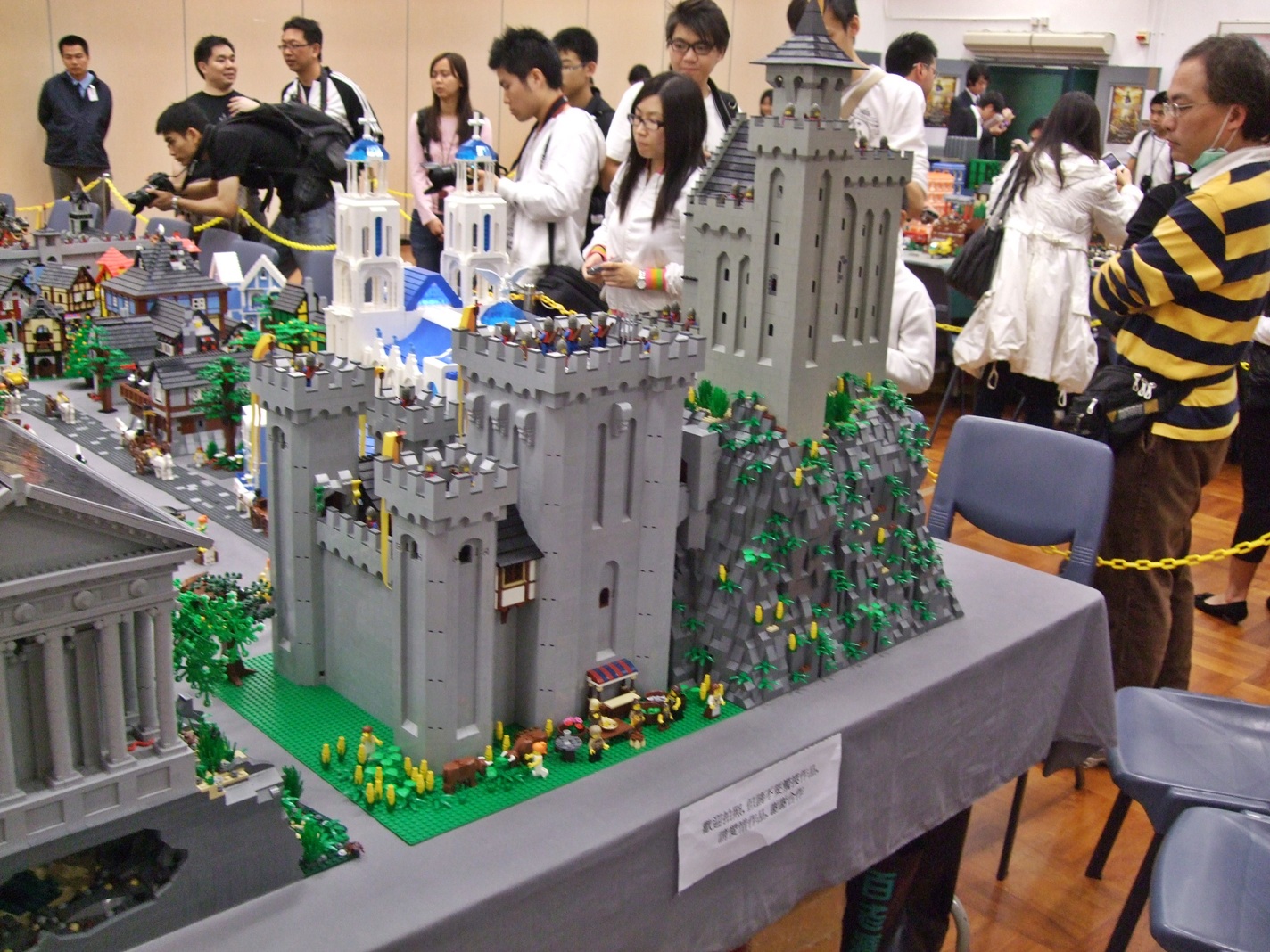 bricks_adventure_2010.25.jpg