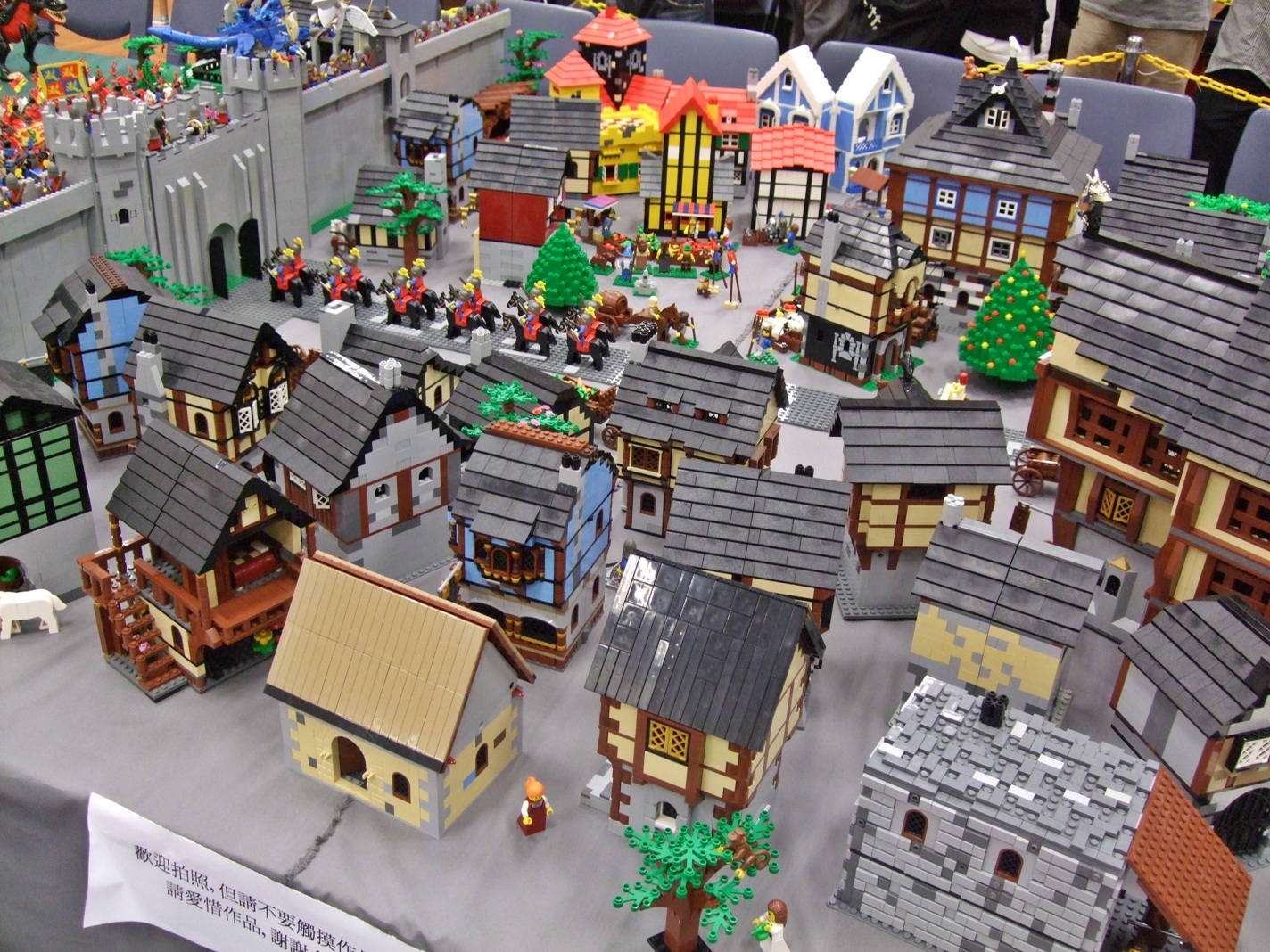 bricks_adventure_2010.29.jpg