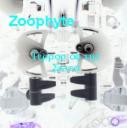 Zoophtye