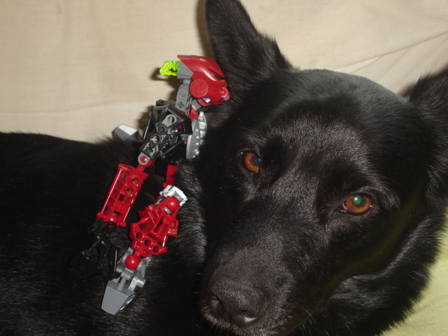 bionicles_036.jpg