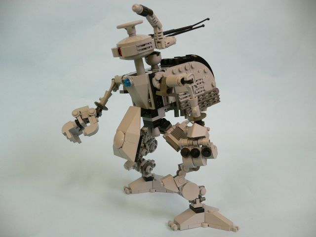 albatross1.jpg