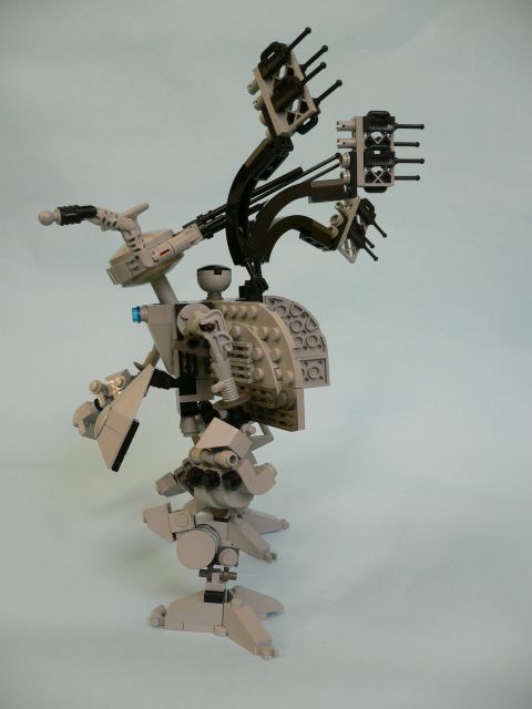 albatross2.jpg