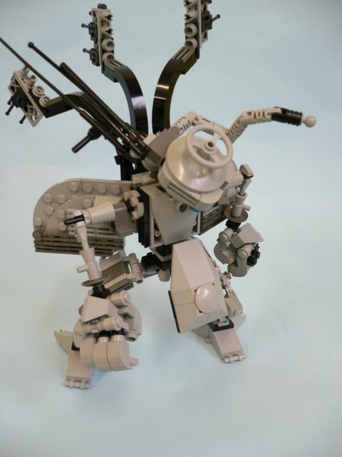 albatross3.jpg