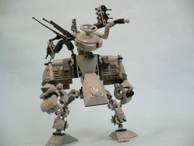 albatross4.jpg