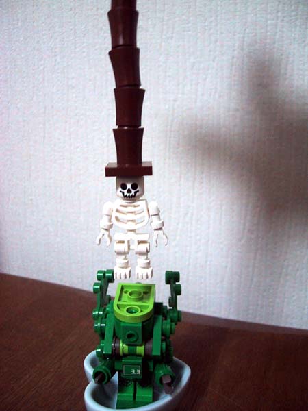 85_biotector.jpg