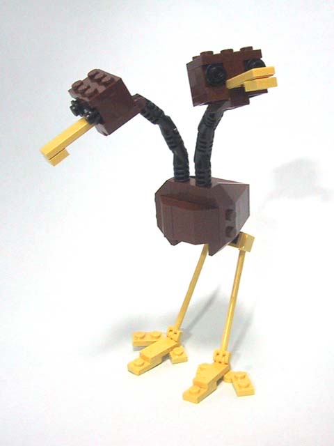 084_dodo_doduo_1.jpg