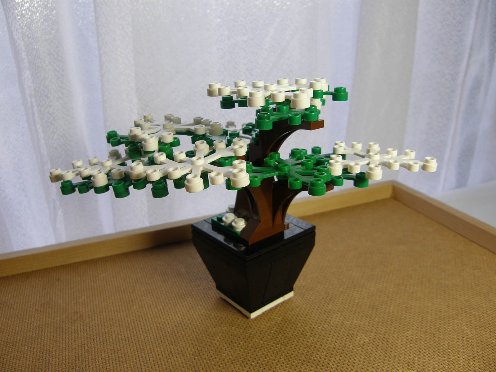 bonsai02.jpg