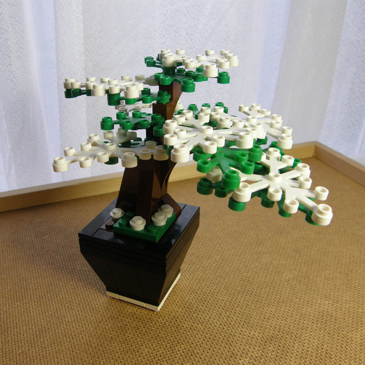 bonsai03.jpg