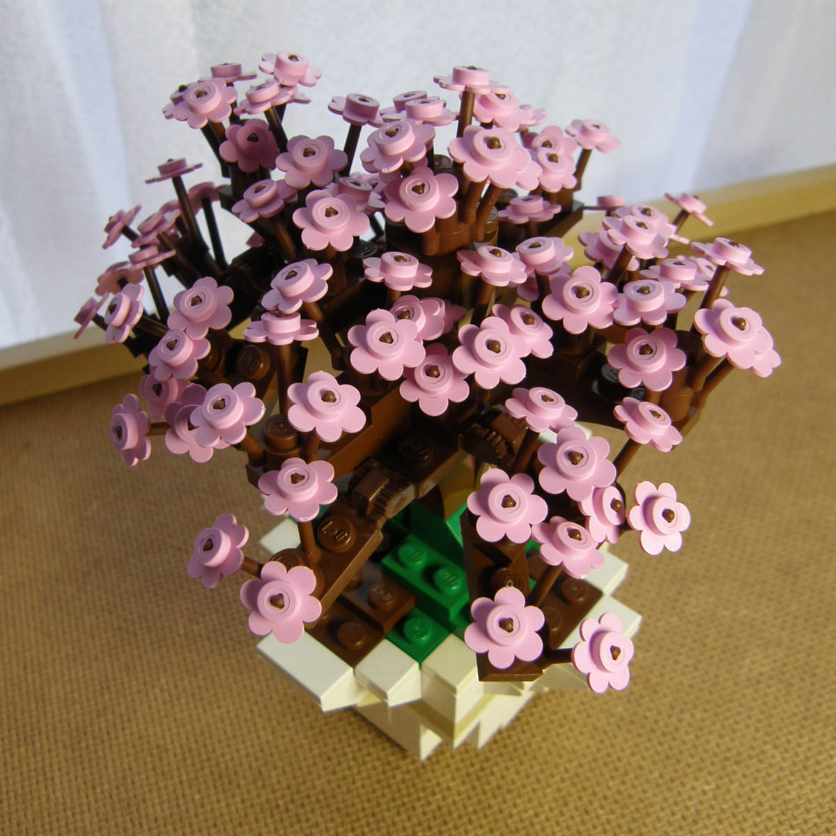 bonsai05.jpg