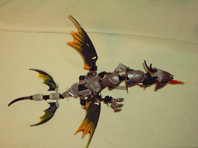 7021-023.jpg