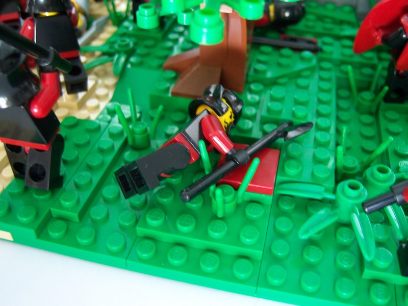 cc05.jpg