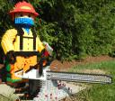dscn8318.jpg