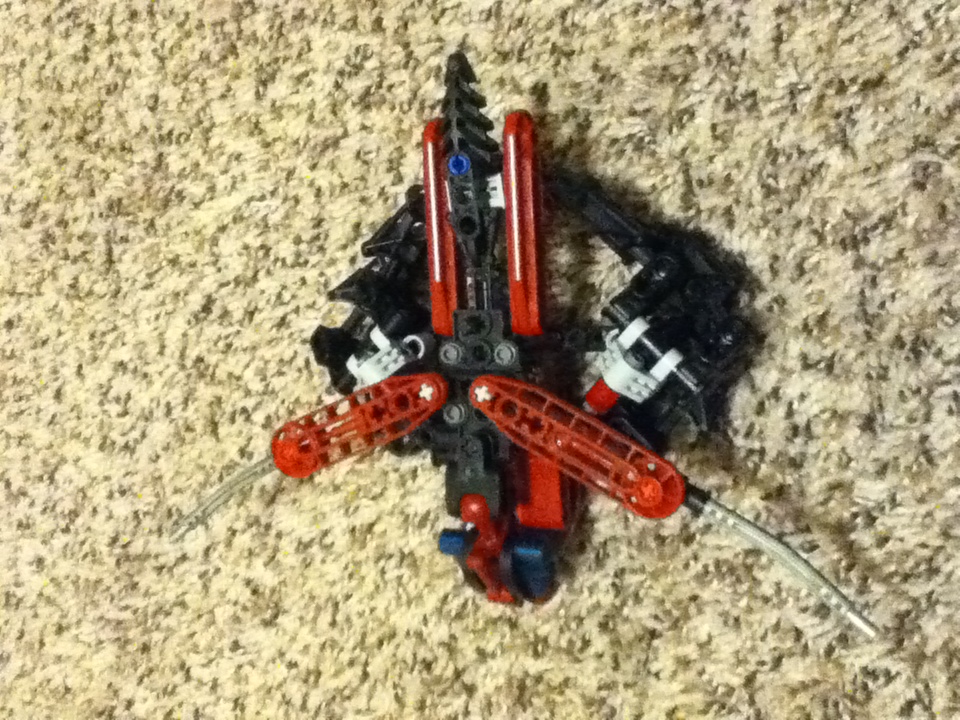 moc_beetle.jpg