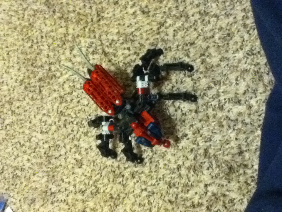 moc_beetle_4.jpg
