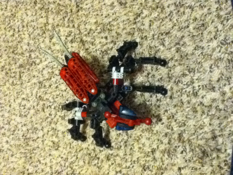 moc_beetle_5.jpg