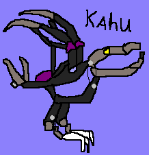 kahu.bmp