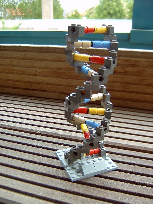 dna-01.jpg